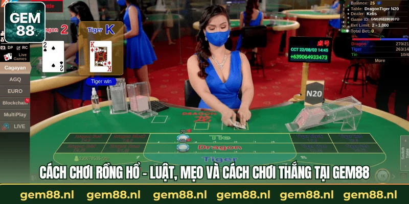 Cách Chơi Rồng Hổ - Luật, Mẹo & Cách Chơi Thắng Tại GEM88