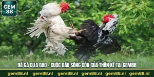 Đá Gà GEM88 – Trường Gà Trực Tuyến Uy Tín Và An Toàn