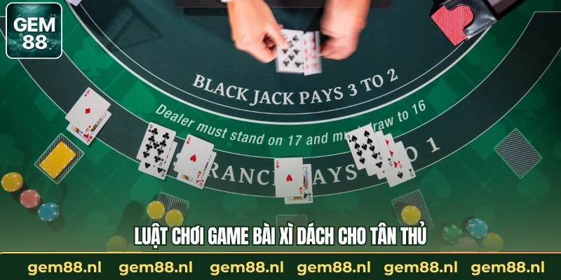 Game Bài Xì Dách - Luật Chơi Và Quy Tắc Thực Chiến Từ A-Z
