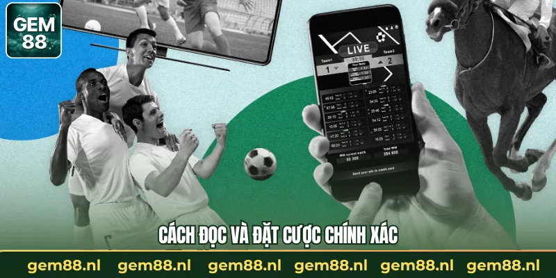 Giới Thiệu Về Kèo Chấp 1/2 Trong Đặt Cược Bóng Đá