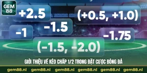 Thể Thao GEM88 – Điểm Đến Đặt Cược Được Tin Tưởng 2026