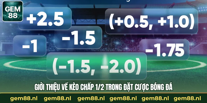 Giới Thiệu Về Kèo Chấp 1/2 Trong Đặt Cược Bóng Đá