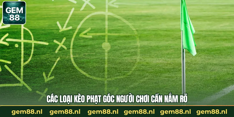 Mẹo Soi Kèo Phạt Góc Hiệu Quả Cho Game Thủ GEM88